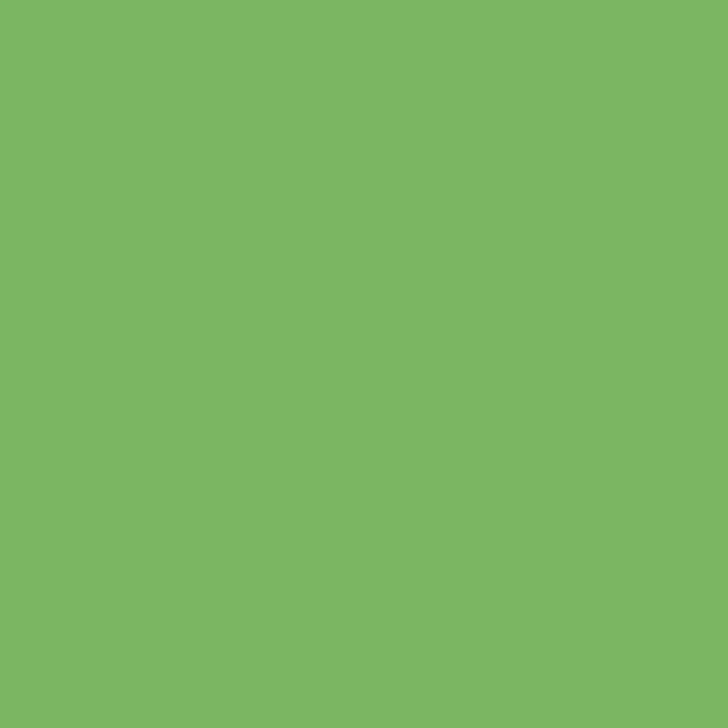 Bud-green-background-image.webp